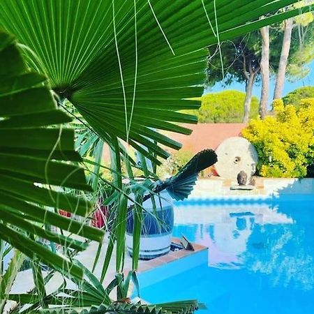 Hebergement Insolite Studio Grau Du Roi Mas Des Marines Piscine Le Grau-du-Roi Extérieur photo