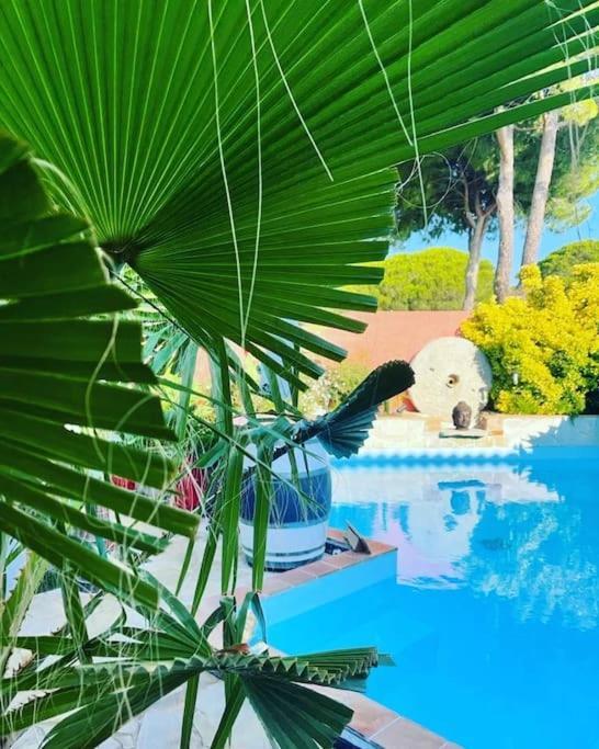 Hebergement Insolite Studio Grau Du Roi Mas Des Marines Piscine Le Grau-du-Roi Extérieur photo